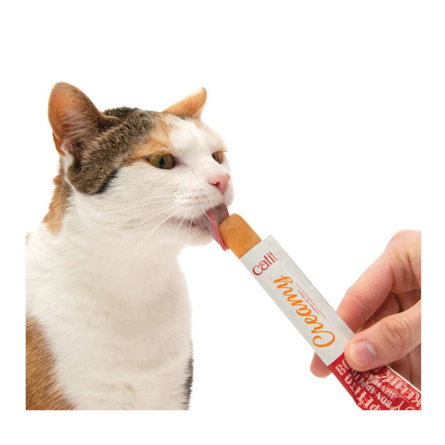 4 sobres x 10 g Catit Creamy Snack L&iacute;quido de At&uacute;n para gatos, , large indicador imagen numero 6