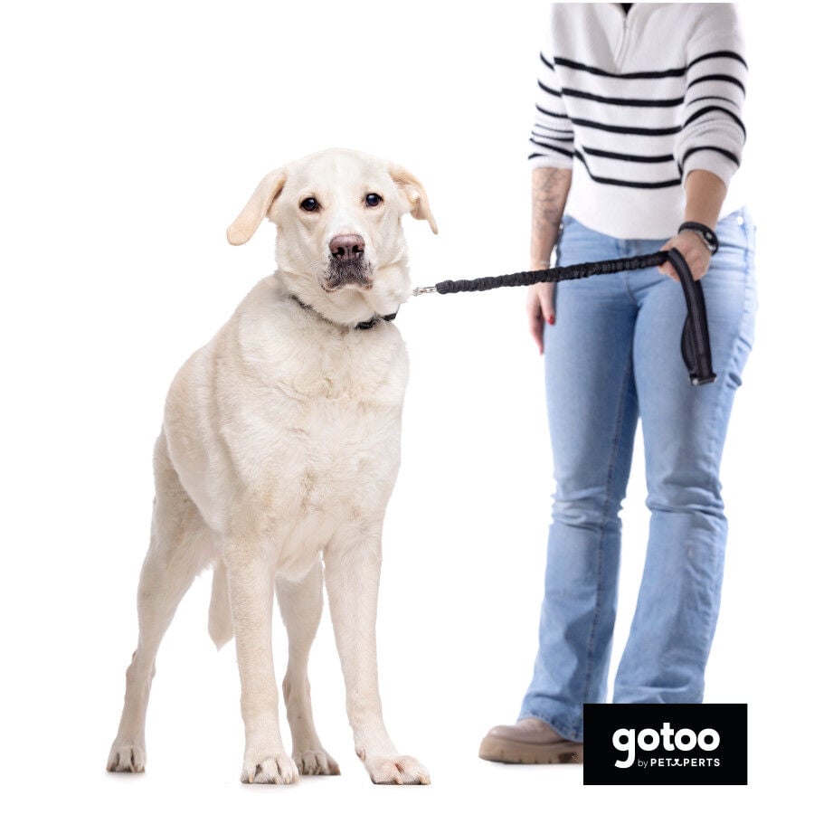 Gotoo Correa doble de nylon negra para perros, , large Imagen numero 5