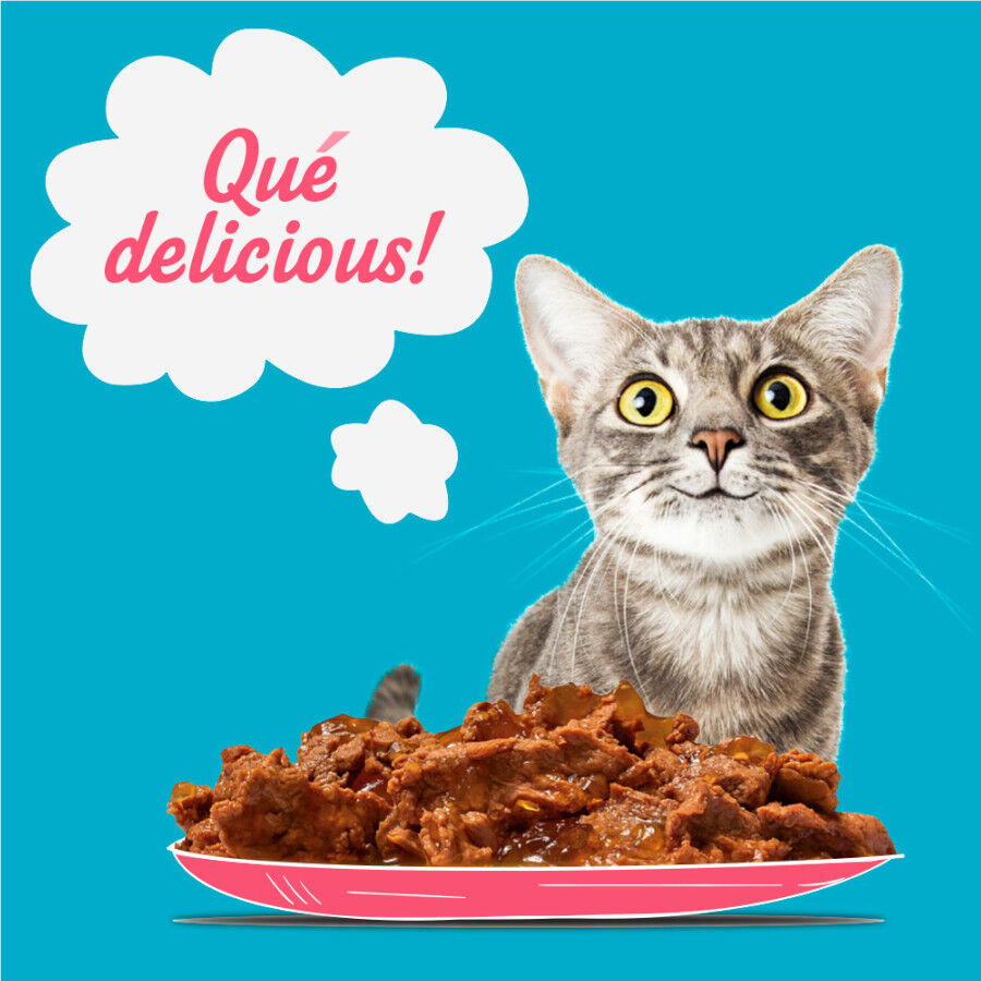 12 latas x 100 g Start Cat Carne con Pollo y Pescado en Gelatina sobre para gatos, , large Imagen numero 5
