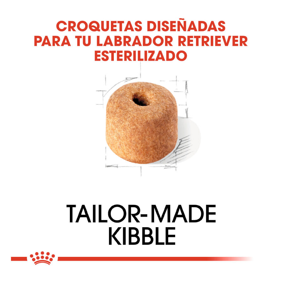 12 kg Royal Canin Adult Labrador Sterilised pienso para perros , , large indicador imagen numero 5
