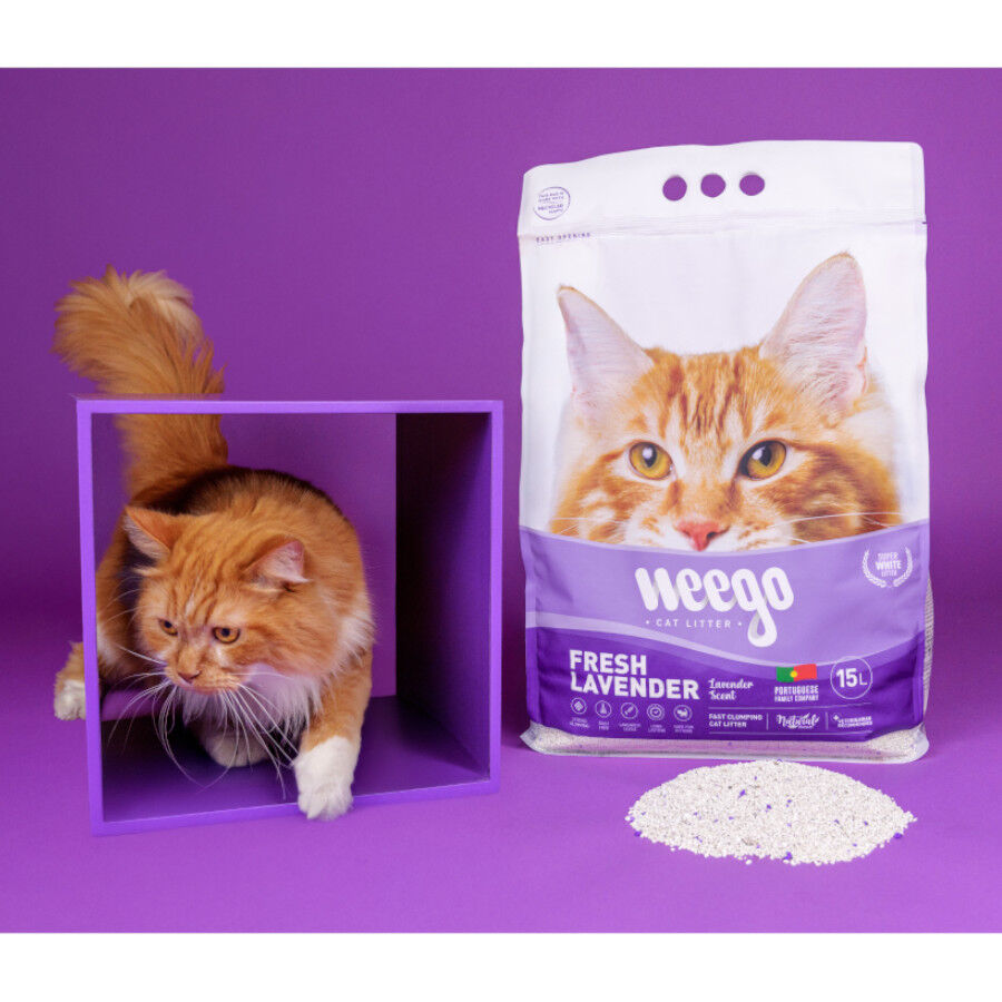 Weego Fresh Lavender Arena Aglomerante para gatos, , large indicador imagen numero 5