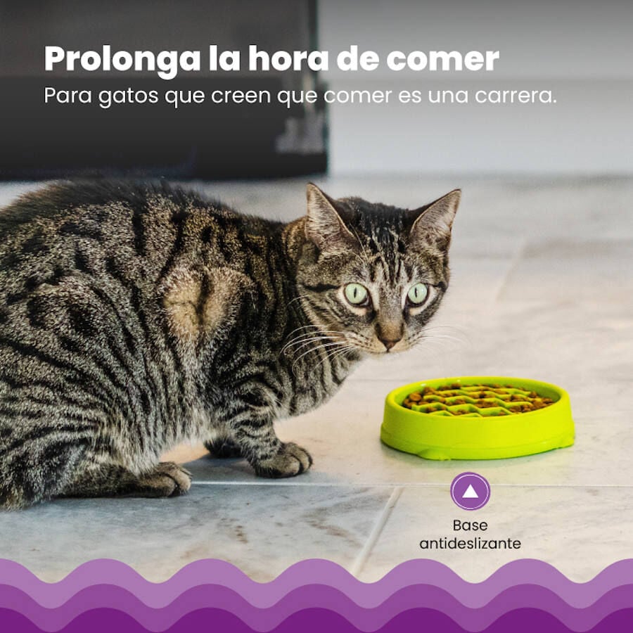 Catstages Cat Fun Comedero Lento Verde para gatos, , large Imagen numero 5