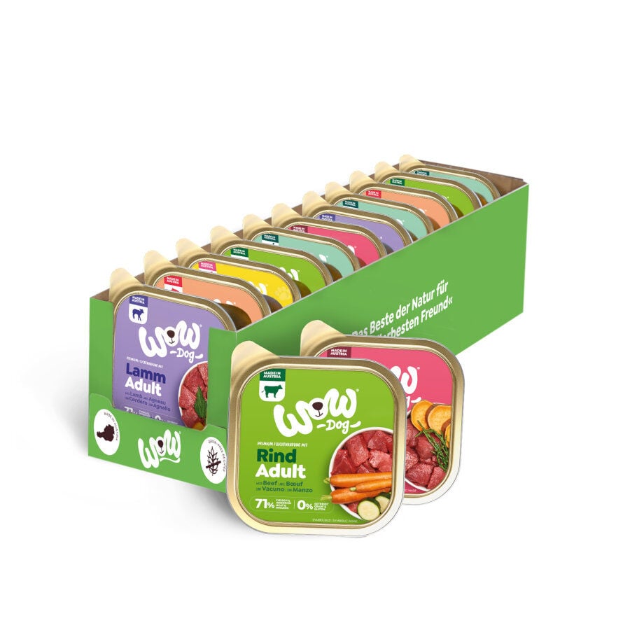 11 tarrinas x 150 g Wow Food Adulto tarrina para perros - Multipack, , large Imagen numero 1