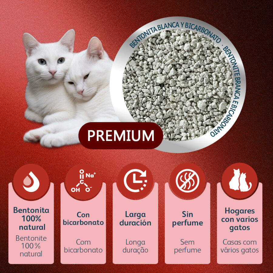 Nova Clean Pro Arena Multicat para gatos, , large Imagen numero 4