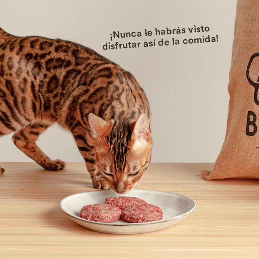 1 kg Wild Balance Men&uacute; Barf salm&oacute;n pavo y verduras comida congelada para gatos, , large indicador imagen numero 7