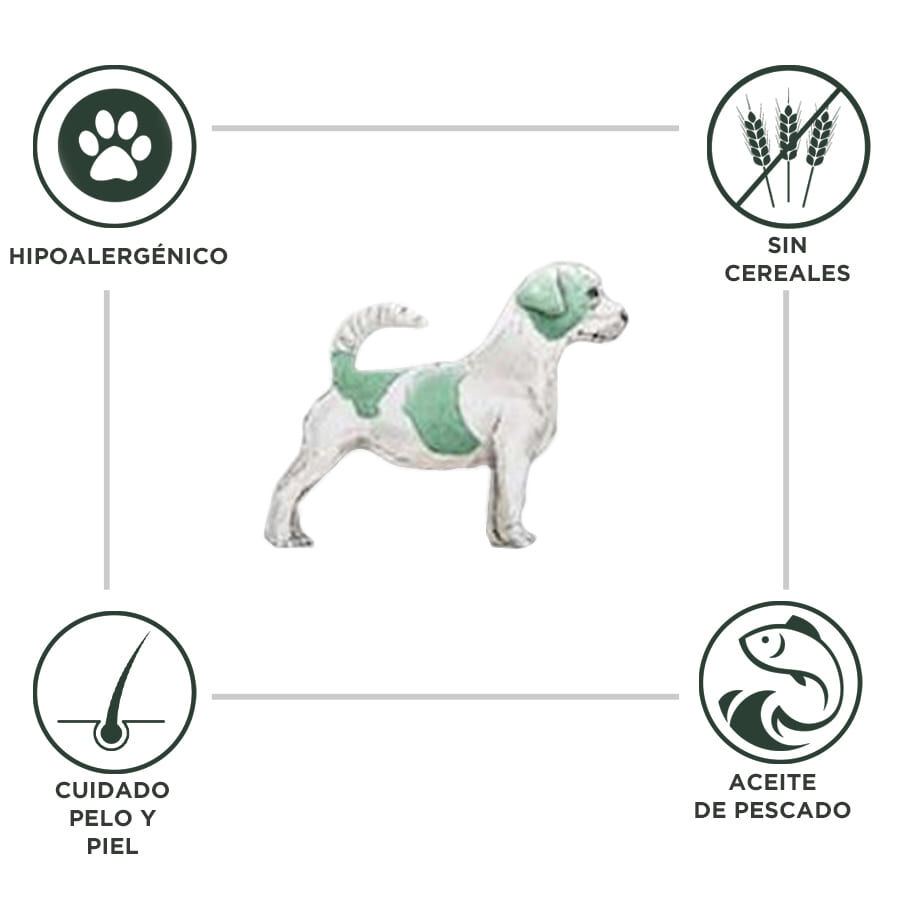 12 kg Criadores Dietetic Hipoalerg&eacute;nico Adulto pienso para perros, , large Imagen numero 2
