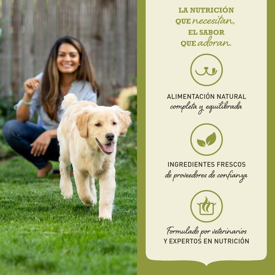 17 kg Acana Adult Large Breed pienso para perros, , large Imagen numero 5