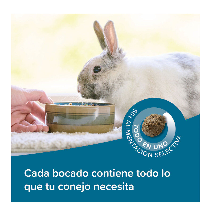 Beaphar Care+ pienso para conejos seniors, , large indicador imagen numero 4