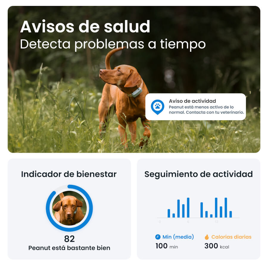 Tractive GPS Dog 6 Marr&oacute;n Rastreador para perros, , large indicador imagen numero 9