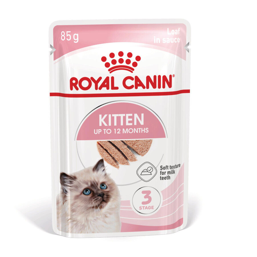 Royal Canin Kitten pat&eacute; sobre para gatos