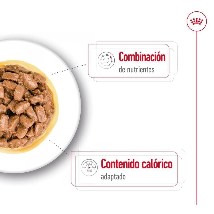 85 g Royal Canin Mini Ageing sobres en salsa para perros&nbsp;senior, , large indicador imagen numero 4