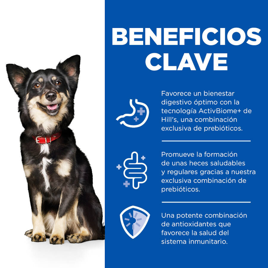 200 g Hill's Science Plan Adult Small & Mini Perfect Digestion Mousse de Pavo lata para perros, , large Imagen numero 4