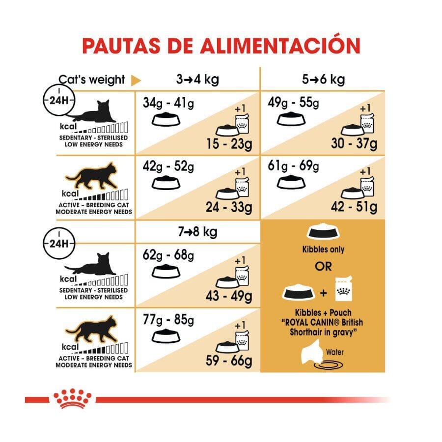 10 kg Royal Canin Adult British Shorthair pienso para gatos, , large indicador imagen numero 7