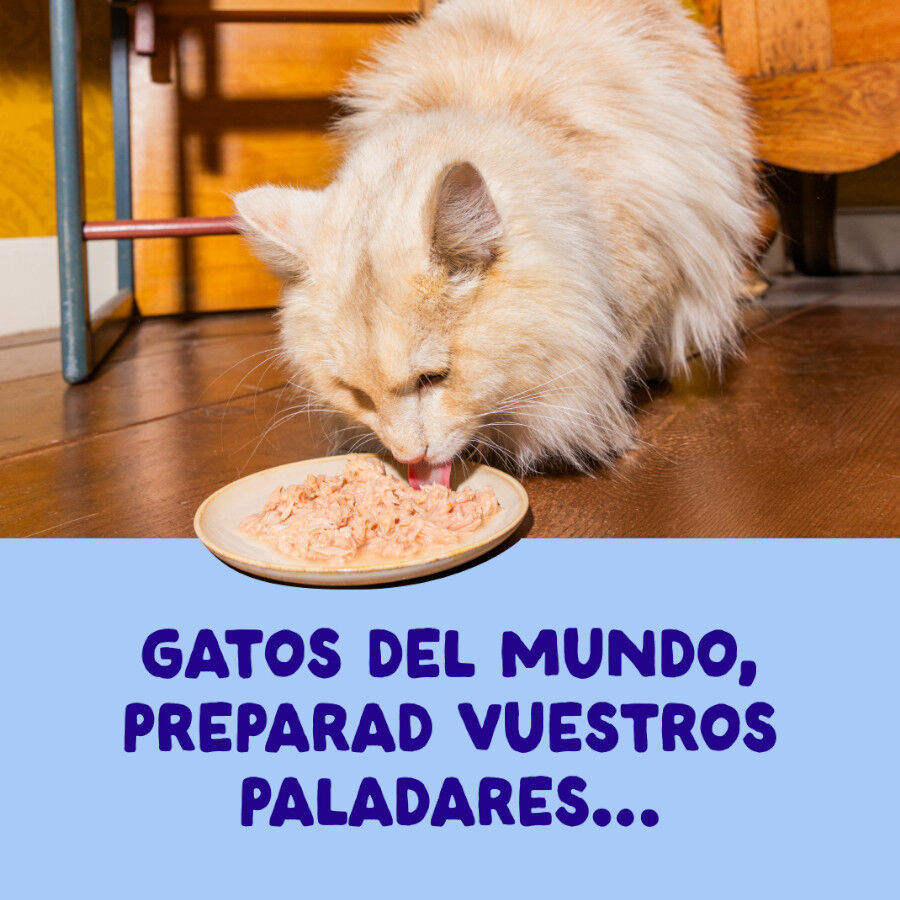 70 g Edgard & Cooper Filetes de At&uacute;n y Pollo lata para gatos, , large Imagen numero 2