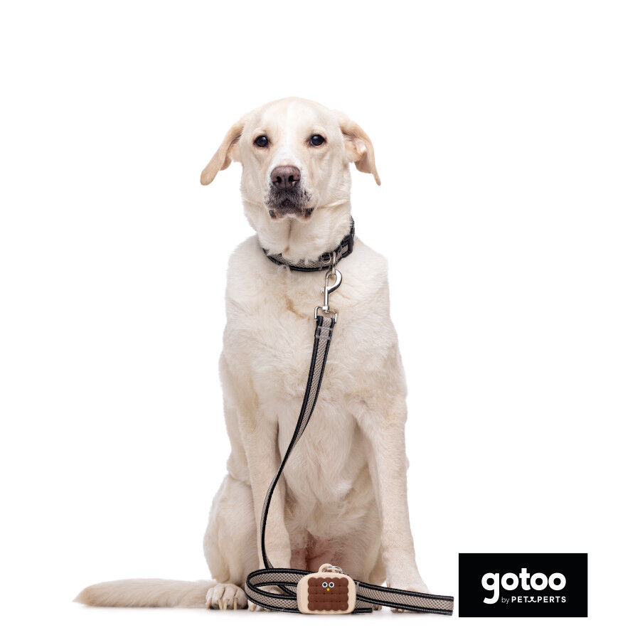 Gotoo Correa reflectante de malla gris para perro, , large indicador imagen numero 5