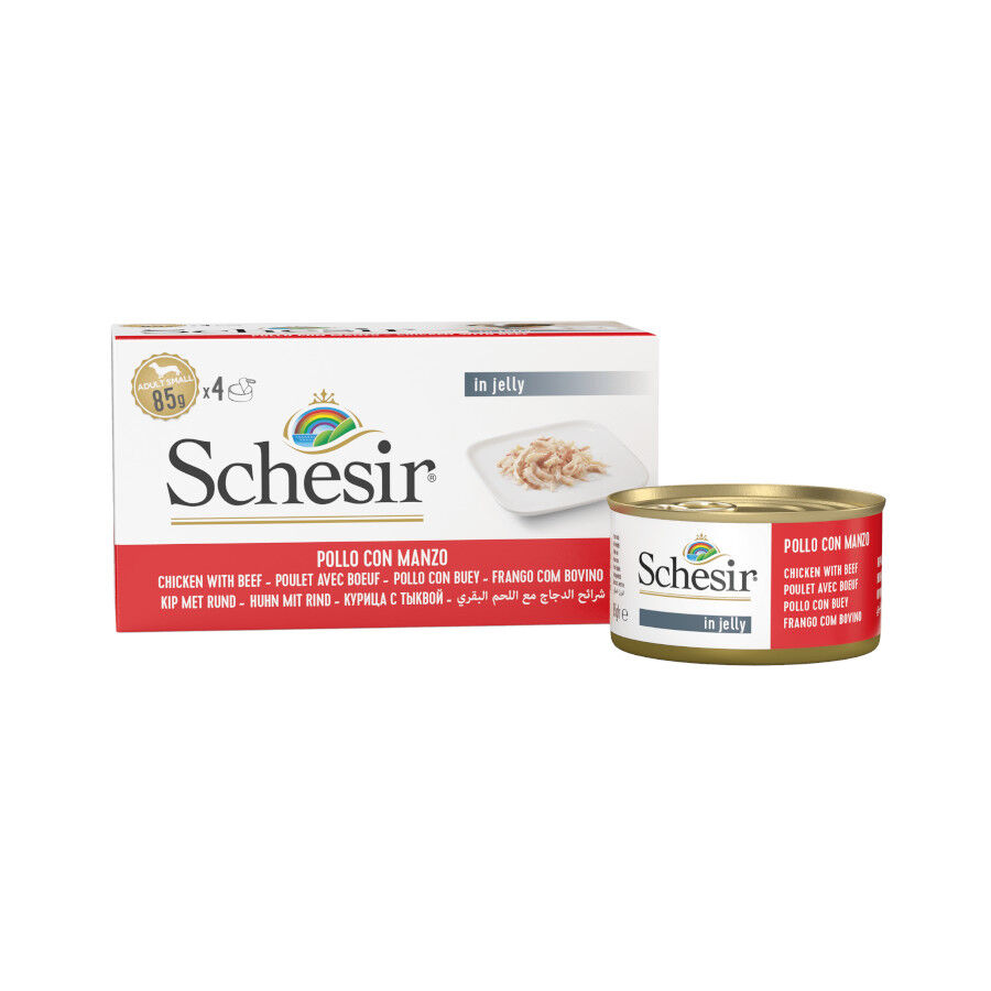 4 latas x 85 g Schesir Filetes de Pollo con Buey en Gelatina lata para perros, , large Imagen numero 1