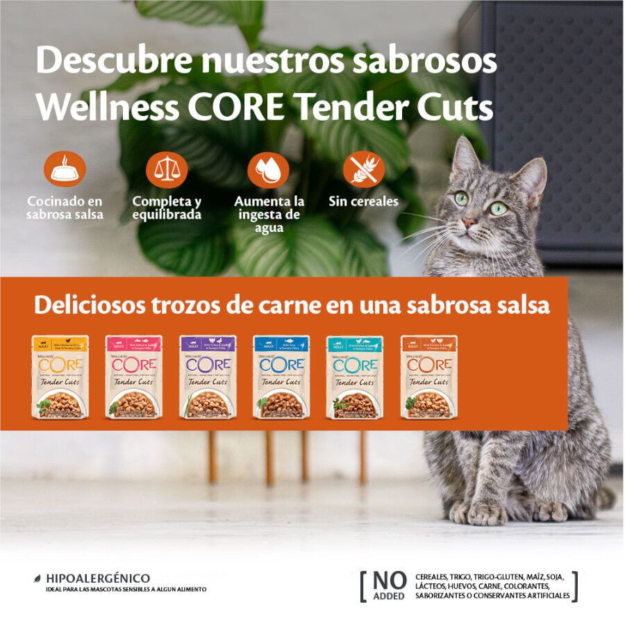 85 g Wellness Core Tender Cuts pollo y pavo sobre en salsa para gatos, , large Imagen numero 3