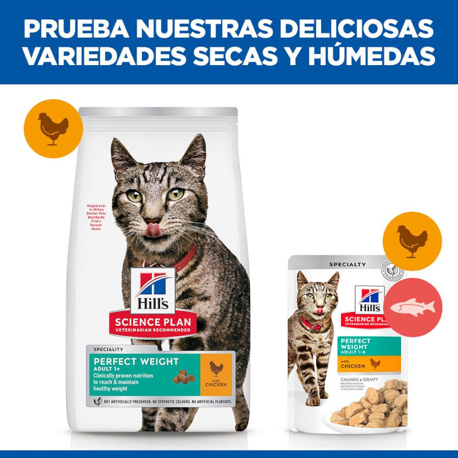 7 kg Hill's Science Plan Perfect Weight Adult pollo pienso para gatos, , large indicador imagen numero 7