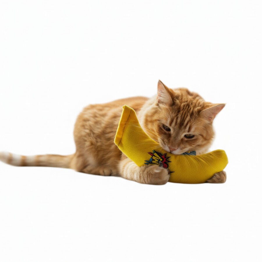 BAM! Peluche Banana con Catnip para gatos, , large indicador imagen numero 5