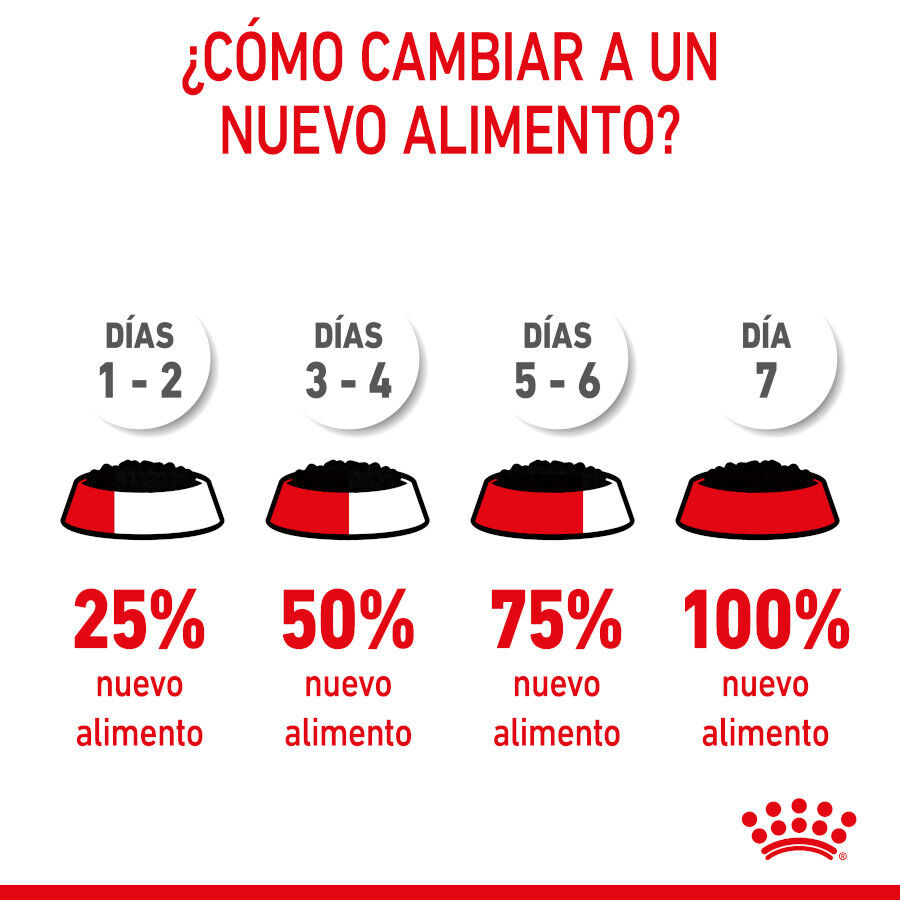 85 g Royal Canin X-Small Puppy Trocitos en Salsa sobre para perros, , large indicador imagen numero 2