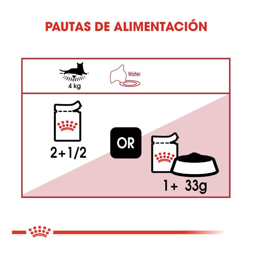 85 g Royal Canin Instinctive gelatina sobres para gatos, , large indicador imagen numero 6