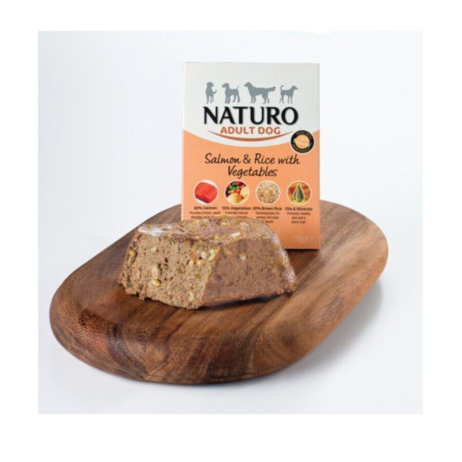 150 g Naturo Adult Salm&oacute;n con Arroz y Vegetales tarrina para perros, , large Imagen numero 1