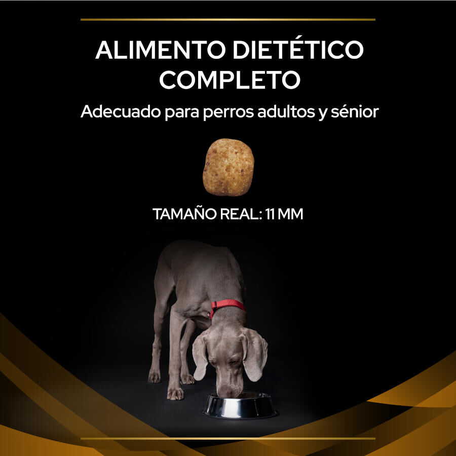 12 kg Pro Plan Veterinary Diets Renal pienso para perros, , large Imagen numero 3