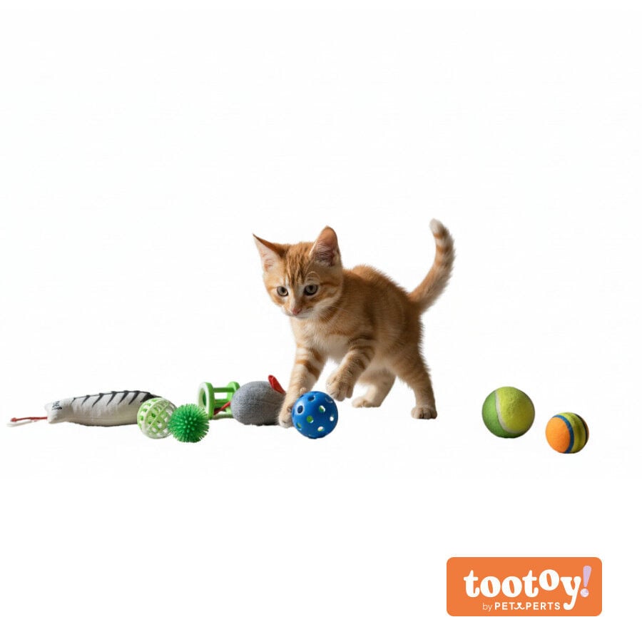 Tootoy! Caja de Juguetes Variados para gatos, , large indicador imagen numero 12