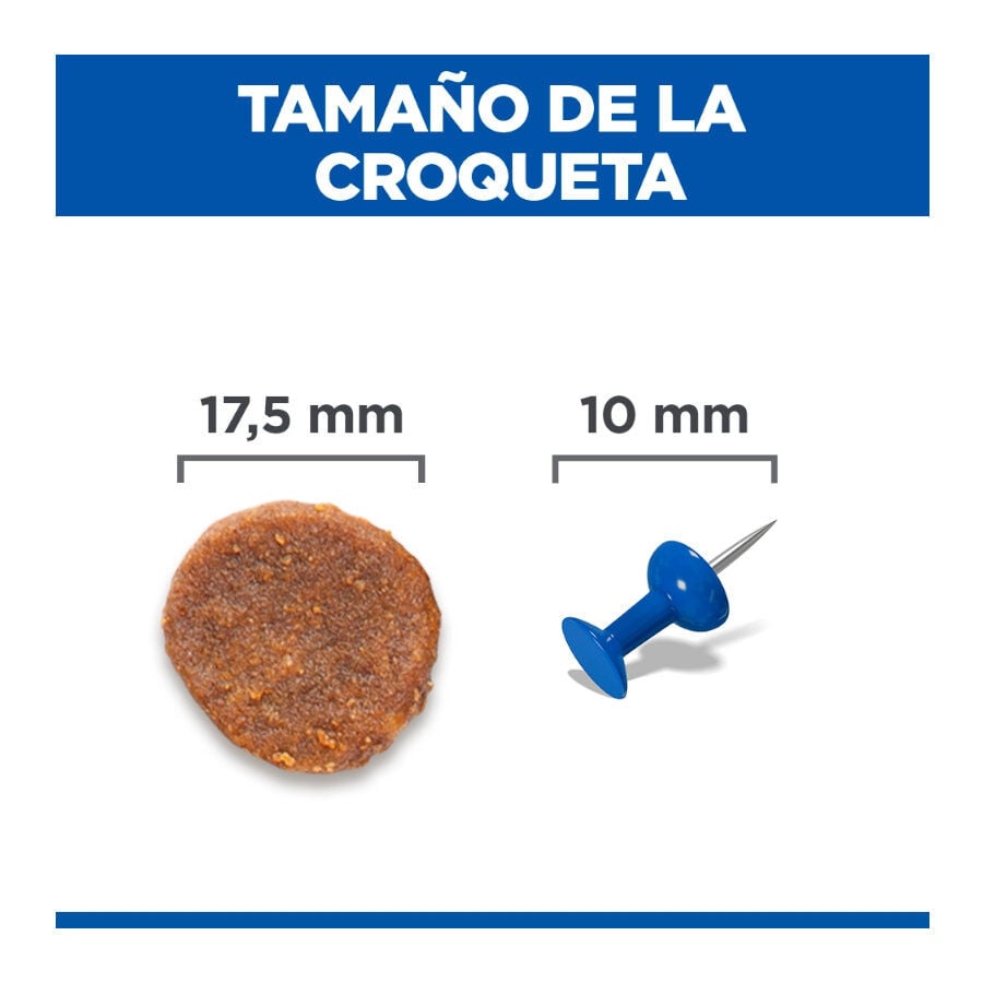 12 kg Hill's Science Plan Perfect Weight Adult Large Pollo pienso para perros, , large Imagen numero 4