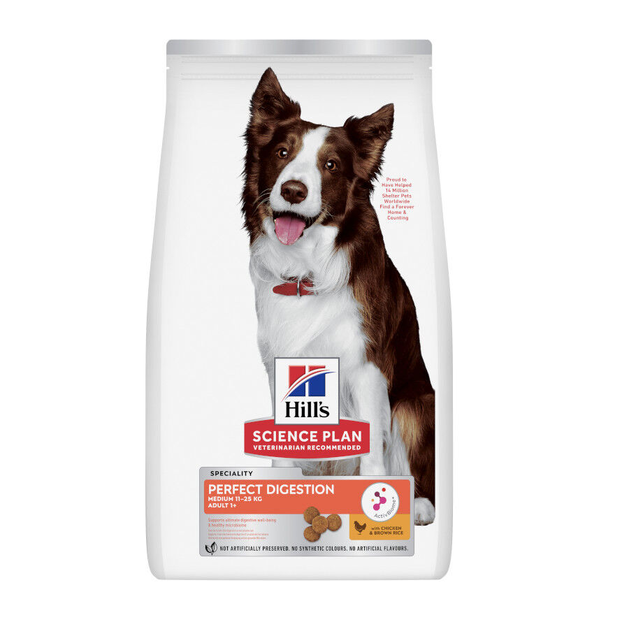 Hill's Science Plan Perfect Digestion Adult Medium Pollo pienso para perros