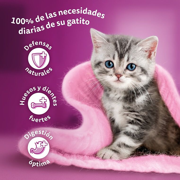 4 sobres x 85 g Whiskas Carnes en Salsa en Bolsita para Gatitos, , large Imagen numero 5