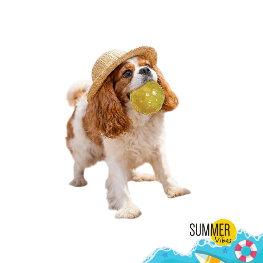 Summer Vibes Pelota de goma juguete para perros, , large indicador imagen numero 9