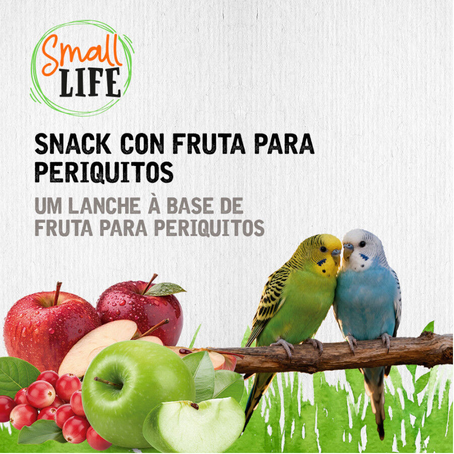 2 barritas Small Life Barritas Snack con Fruta para periquitos, , large indicador imagen numero 4
