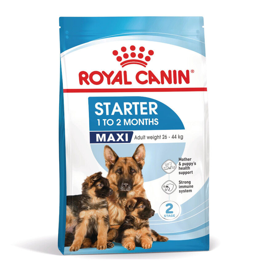 15 kg Royal Canin Starter MotheryBaby Maxi pienso para perros, , large indicador imagen numero 2