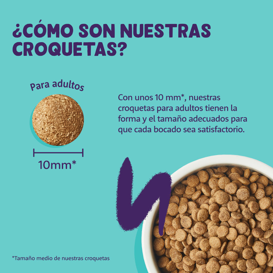 4 kg Edgard & Cooper Adult Pollo pienso para gatos, , large Imagen numero 4