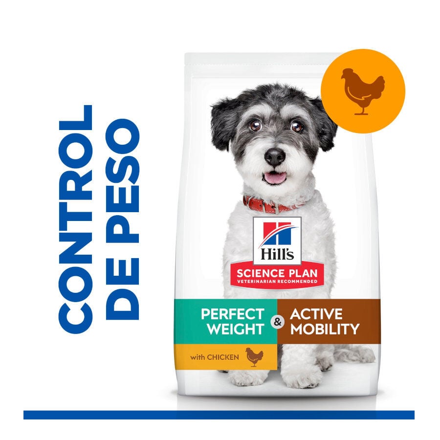 6 kg Hill's Science Plan Perfect Weight y Active Mobility Small y Mini Pollo pienso para perros, , large indicador imagen numero 2
