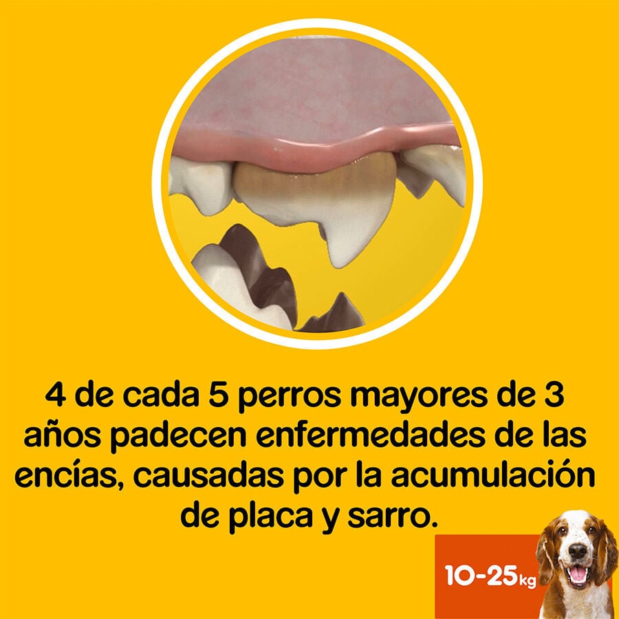 28 barritas Pedigree Dentastix Fresh Snacks Dentales para Perros Medianos, , large Imagen numero 6