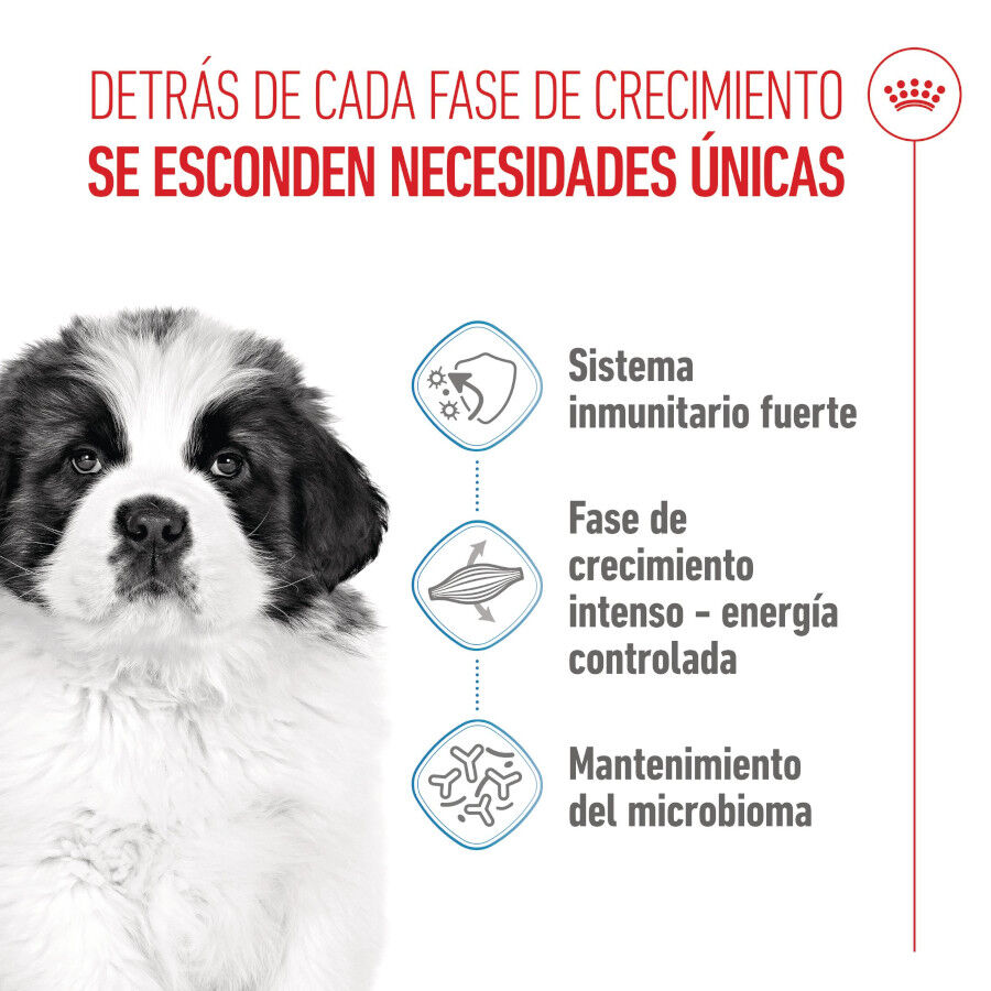 15 kg Royal Canin Puppy Giant pienso para perros, , large indicador imagen numero 3