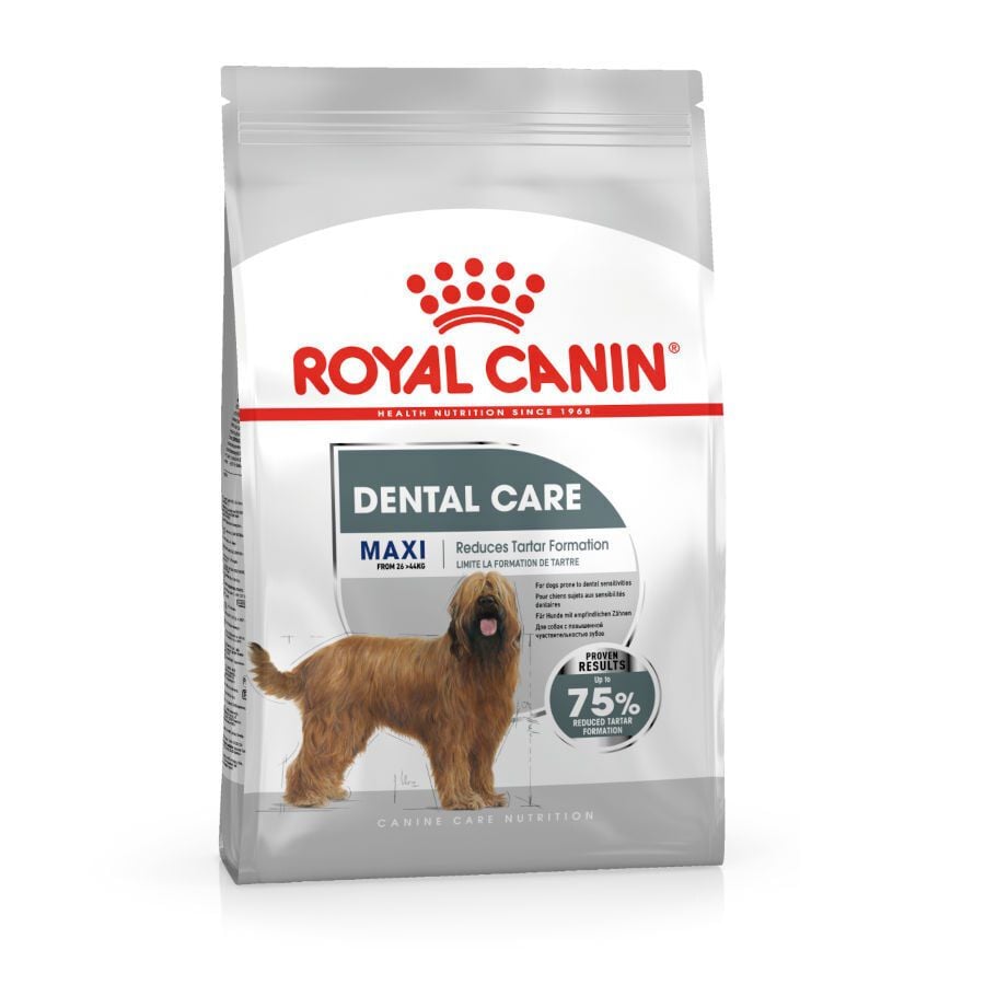 9 kg Royal Canin Dental Care Maxi pienso para perros, , large indicador imagen numero 1
