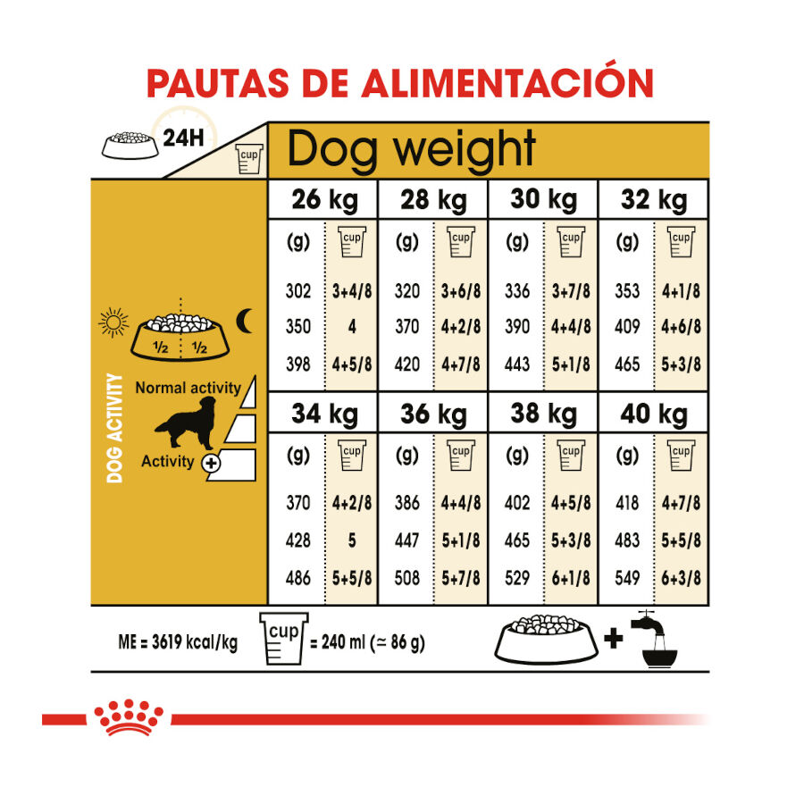 12 kg Royal Canin Adult Golden Retriever pienso para perros, , large Imagen numero 8