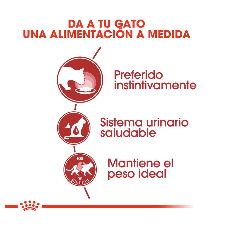 85 g Royal Canin Instinctive pat&eacute; sobre para gatos, , large Imagen numero 4