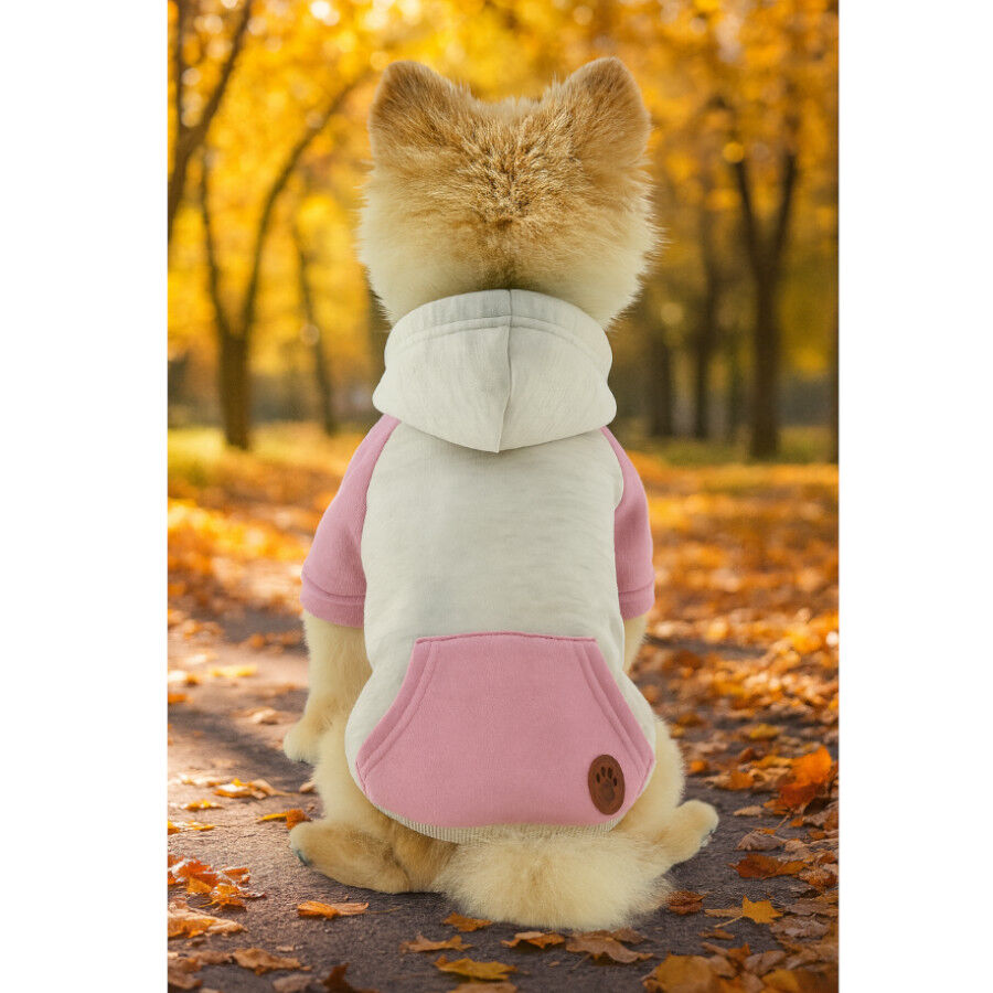 Outech Sudadera con Capucha Rosa para perros, , large Imagen numero 3