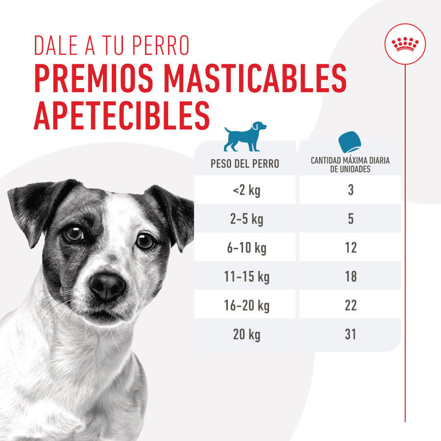 110 g Royal Canin Training Treats Snacks para perros, , large Imagen numero 7