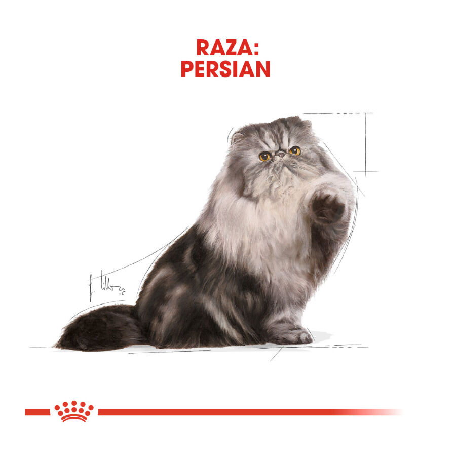 85 g Royal Canin Feline Persian Adult sobres para gatos, , large Imagen numero 3