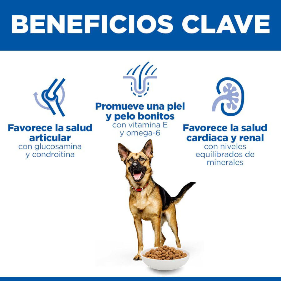 18 kg Hill's Science Plan Mature Adult Large Pollo pienso para perros, , large indicador imagen numero 5