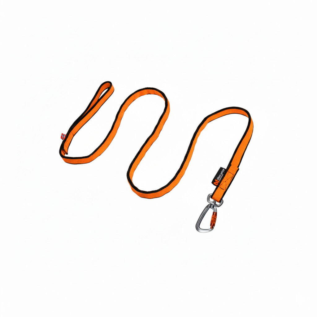 Non-stop dogwear Bungee Correa El&aacute;stica Negra y Naranja para perros, , large Imagen numero 1