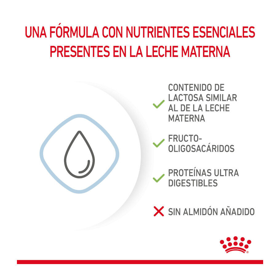 2 kg Royal Canin Leche para cachorros primer a&ntilde;o, , large indicador imagen numero 5