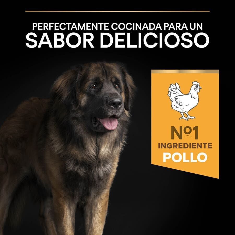 16.5 kg (14 + 2.5 kg &iexcl;gratis!) Pro Plan Large Robust Adult pienso para perros, , large Imagen numero 7