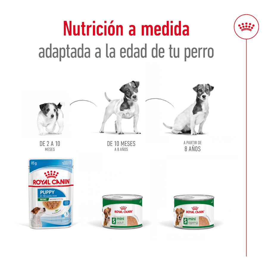 195 g Royal Canin Mini Adult Pat&eacute; lata para perros, , large indicador imagen numero 5