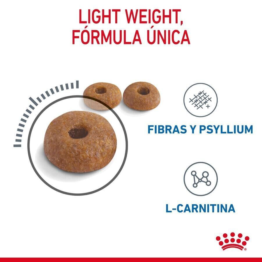 8 kg Royal Canin Adult Light Weight Care pienso para gatos, , large Imagen numero 7